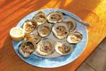 Plate of raw oysters, fresh from Clew Bay in Co. Mayo, are ready to eat.